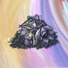 skywalker justify me