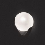 Scavengers debut ep cover